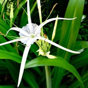 Meet your Posher, Nathan